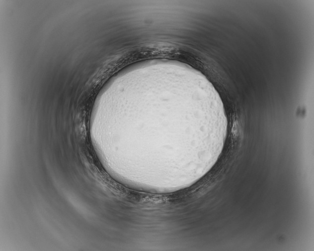 X0000114000771200910231751