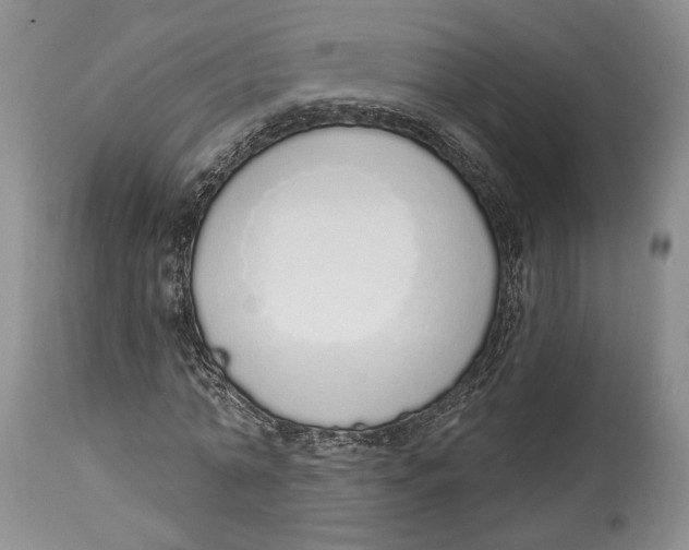 X0000114000774200910231751