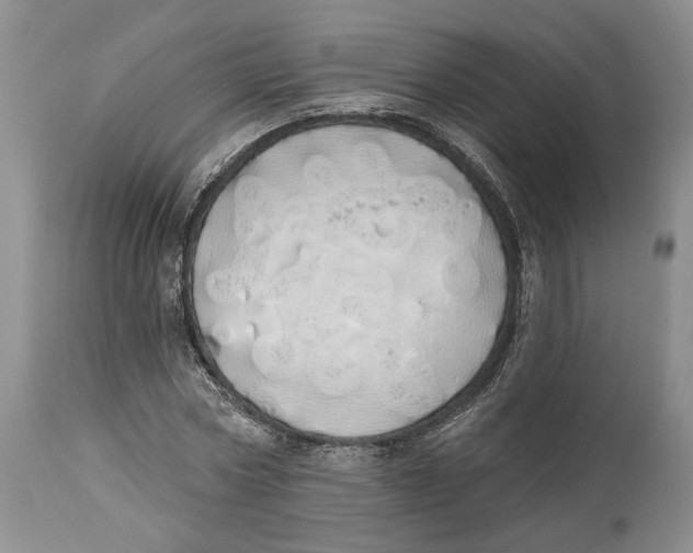 X0000114000778200910231751