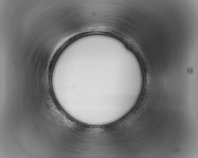 X0000114000784200910231751