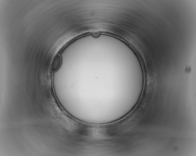 X0000114000789200910231751