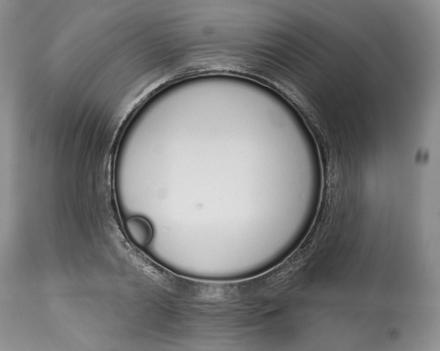 X0000114000790200910231751