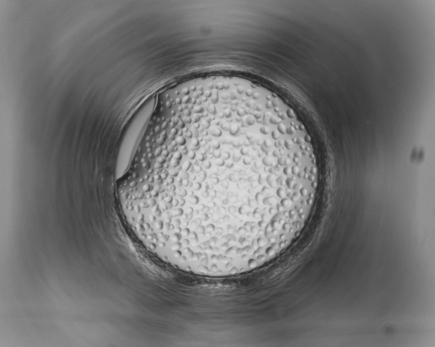 X0000114000793200910231750