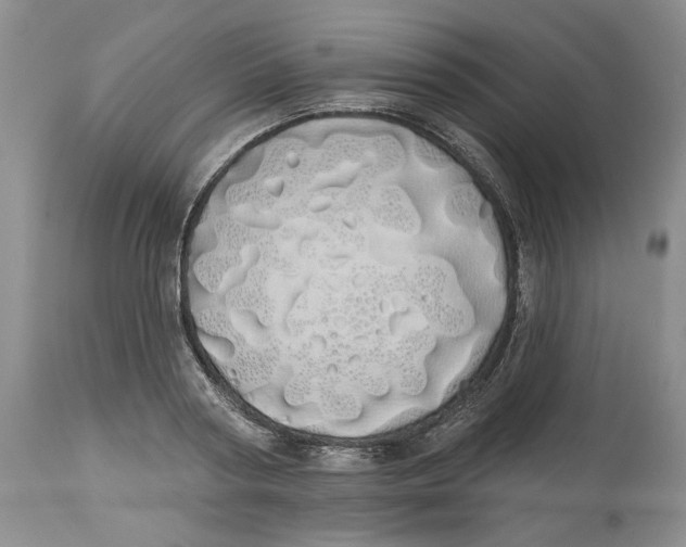 X0000114000794200910231750