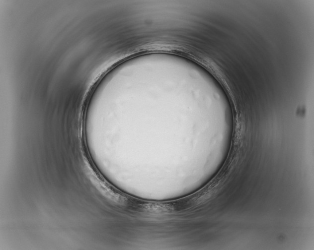 X0000114000795200910231750