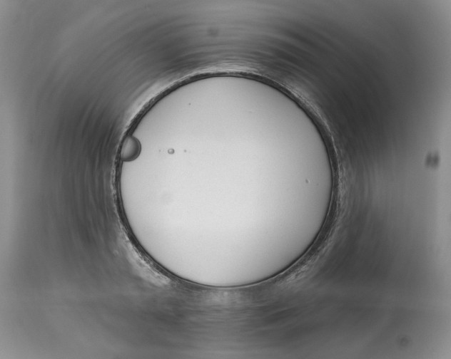 X0000114000797200910231750