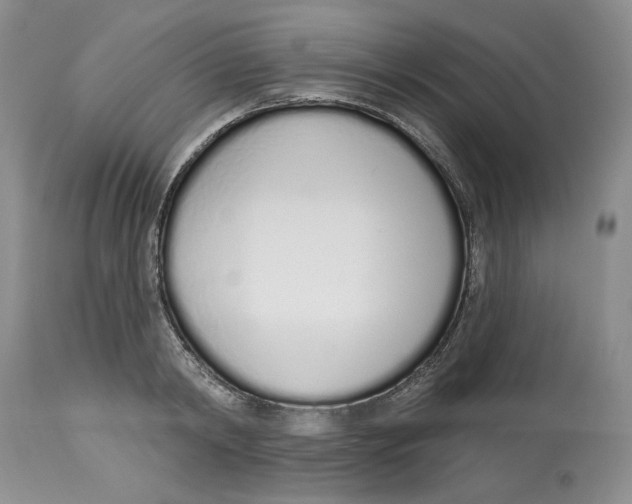 X0000114000798200910231750