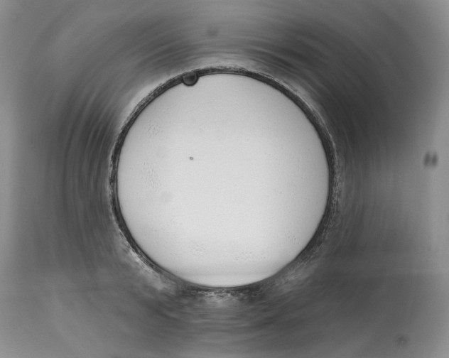 X0000114000799200910231750