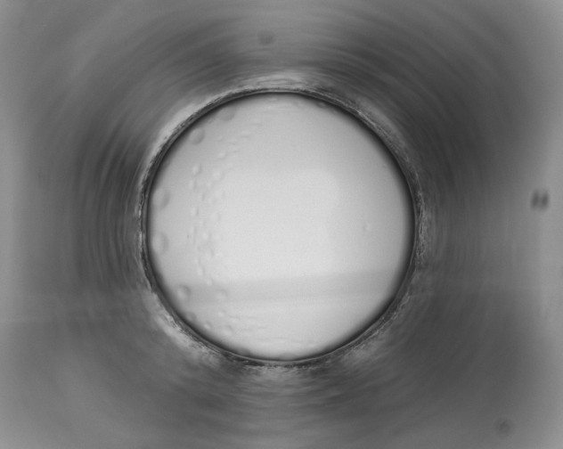 X0000114000800200910231750