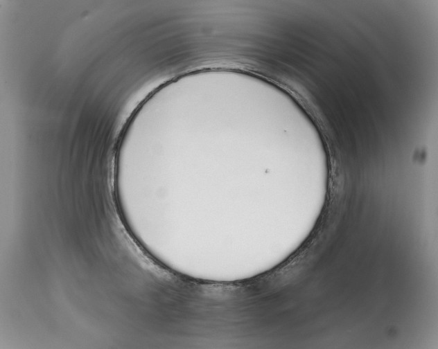 X0000114000804200910231750