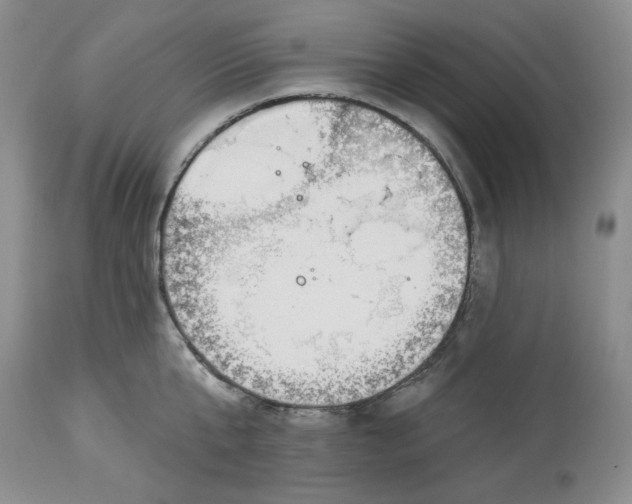 X0000114000807200910231750