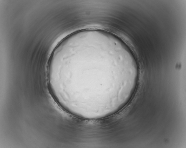 X0000114000808200910231750