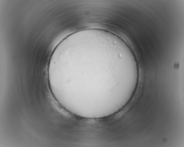 X0000114000814200910231750