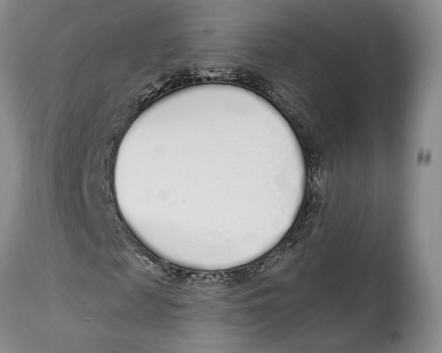 X0000114000817200910231750