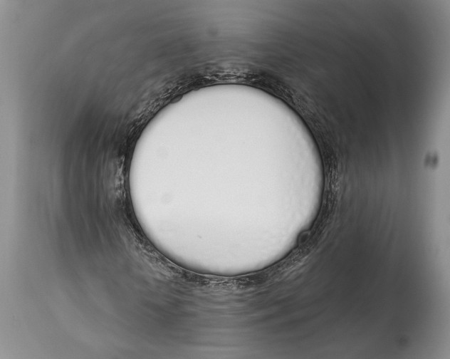 X0000114000818200910231750
