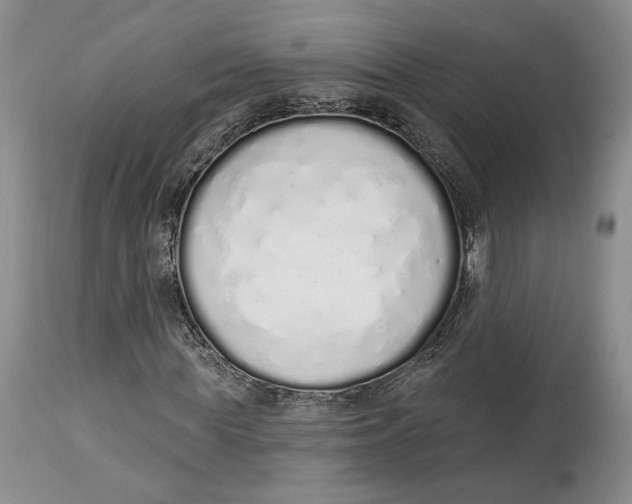 X0000114000819200910231750