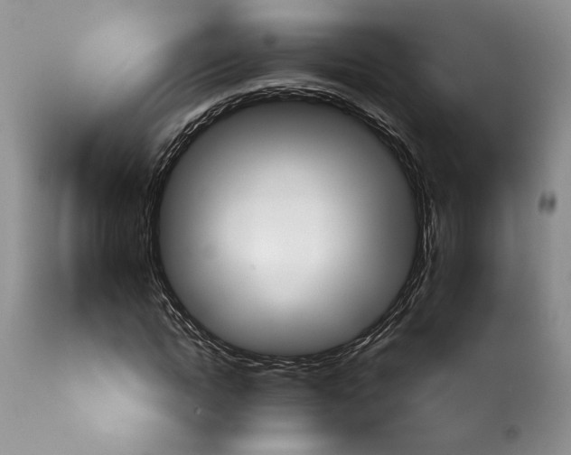 X0000114000822200910231750