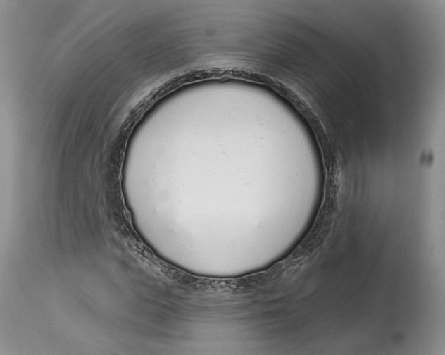 X0000114000823200910231750