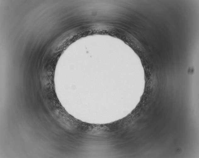 X0000114000824200910231750