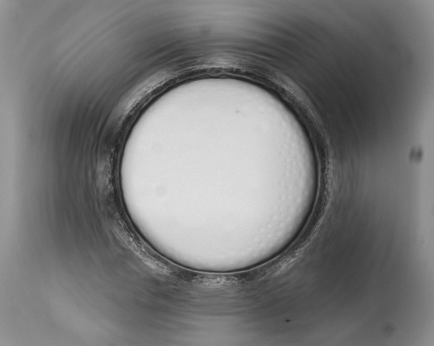 X0000114000826200910231750