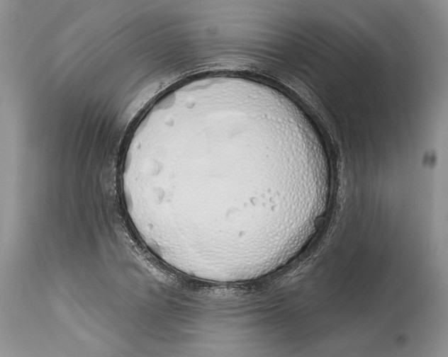 X0000114000834200910231750