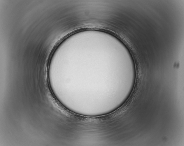X0000114000840200910231750