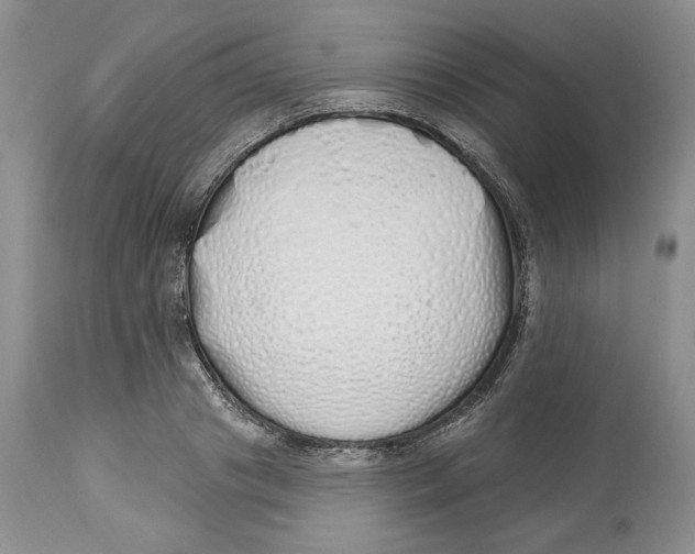 X0000114000841200910231750