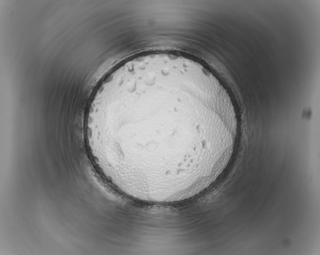 X0000114000842200910231750