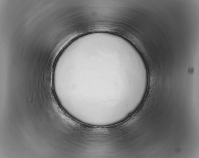 X0000114000844200910231750