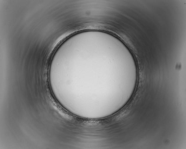 X0000114000846200910231750
