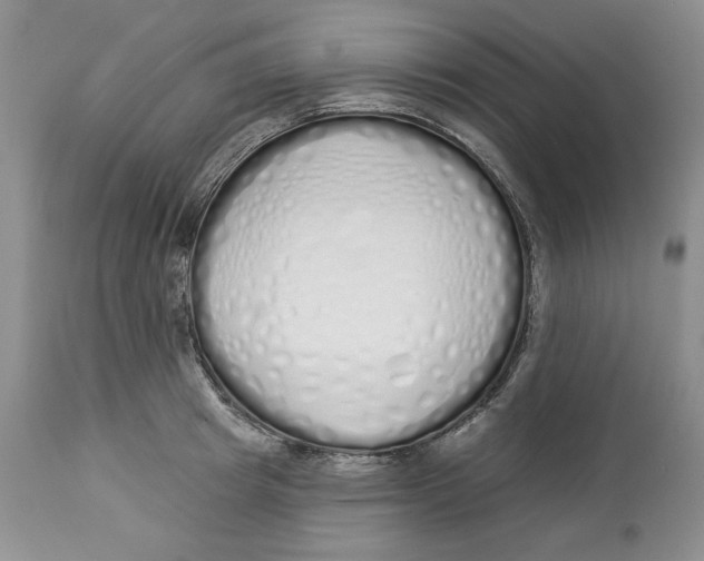 X0000114000849200910231750