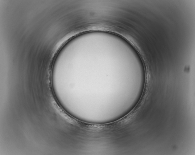 X0000114000854200910231750