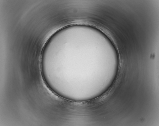 X0000114000855200910231750