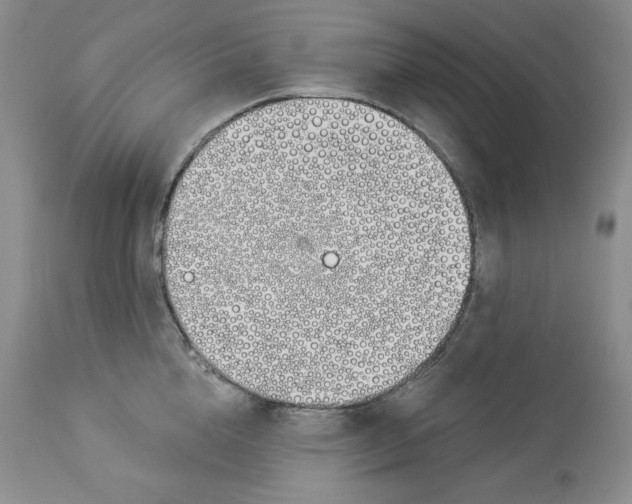 X0000114000856200910231750