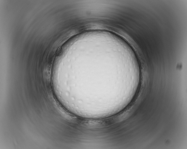 X0000114000857200910231750