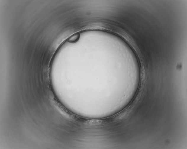 X0000114000858200910231750