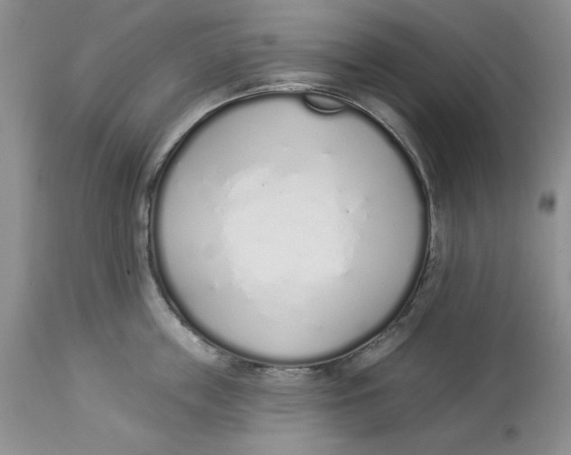X0000114000859200910231750