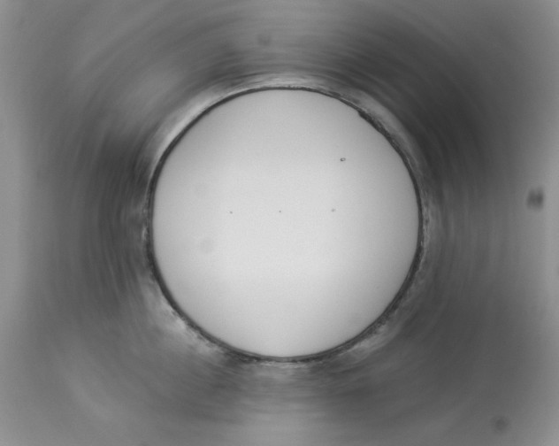 X0000114000860200910231750