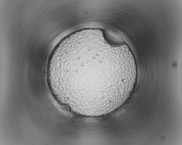 X0000114000861200910231750