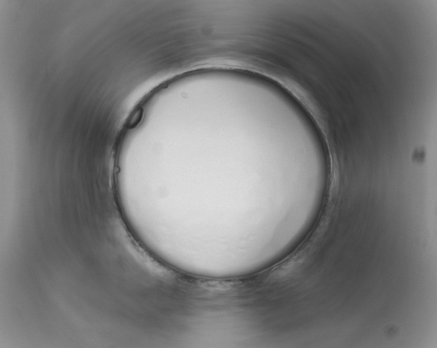 X0000114000862200910231750