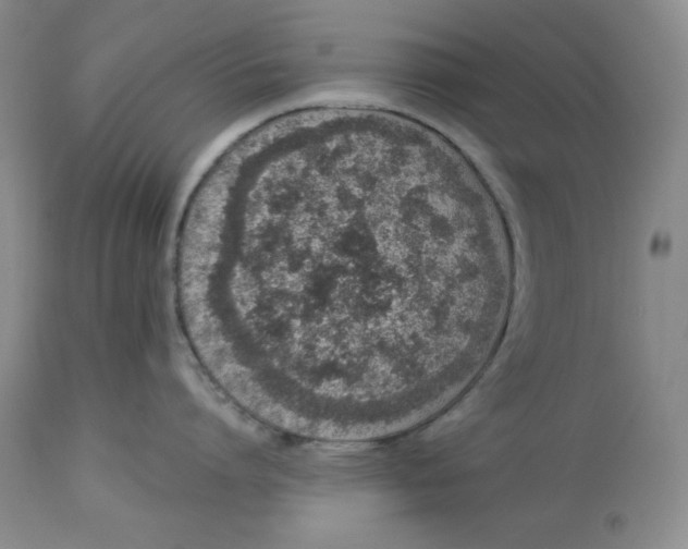 X0000114000864200910231750