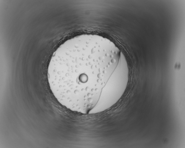 X0000114000865200910231750