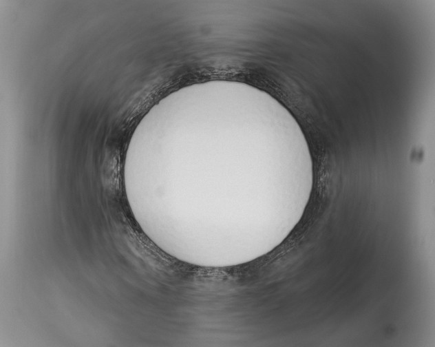X0000114000866200910231749