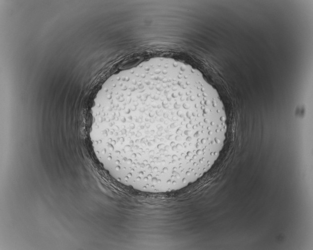 X0000114000868200910231749