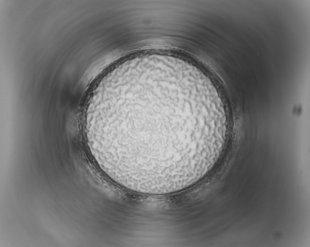 X0000114000874200910231749