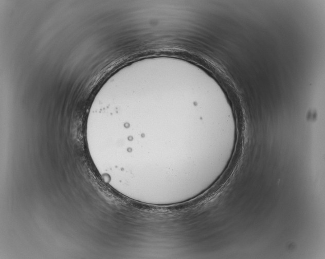 X0000114000881200910231749