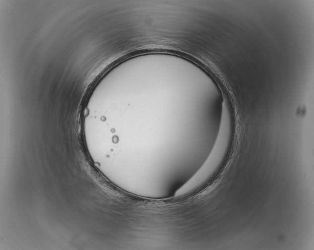 X0000114000885200910231749