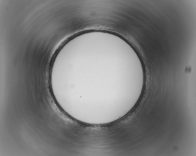 X0000114000896200910231749