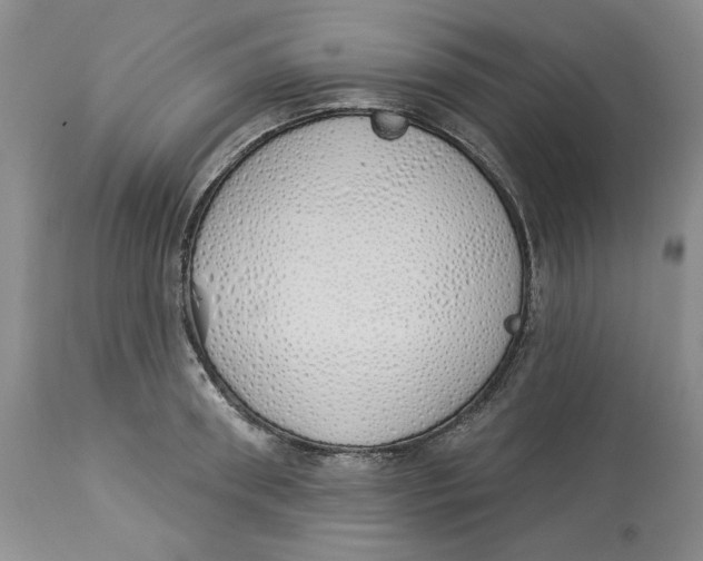 X0000114000898200910231749