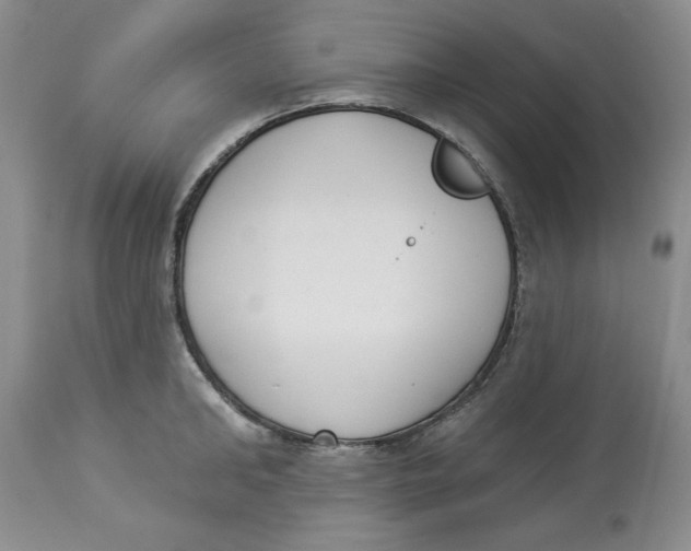 X0000114000902200910231749